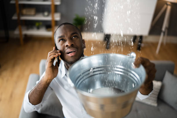 Best Flood damage cleanup  in Columbiana, AL