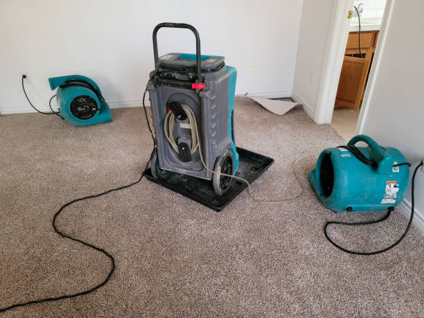  Columbiana, AL Water damage restoration Pros