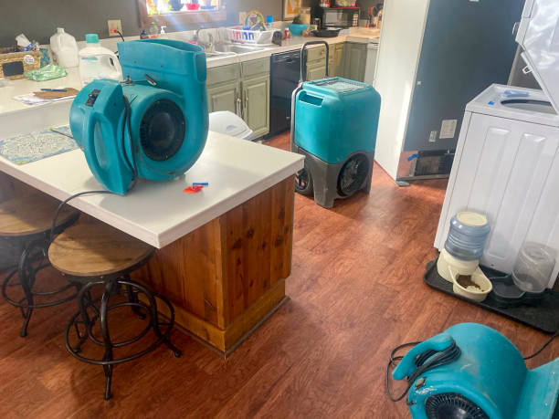 Best Water damage cleanup near me  in Columbiana, AL