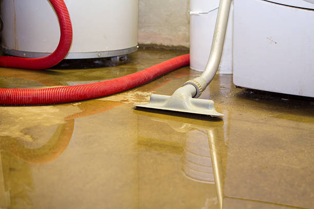 Water damage restoration insurance claims in AL