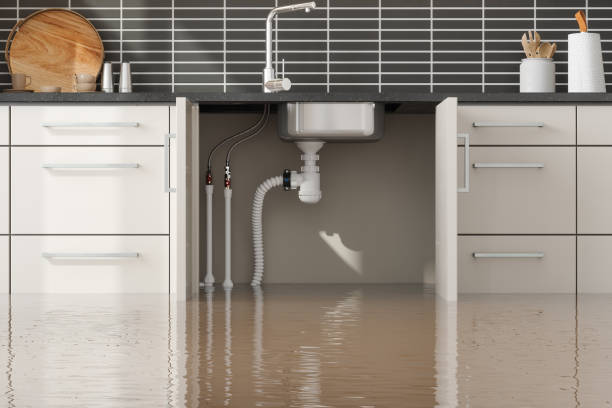 Best Water damage restoration near me  in Columbiana, AL