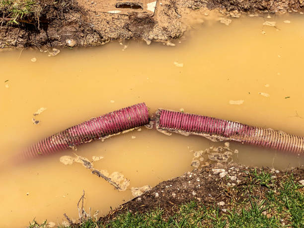 Carpet water damage restoration in AL