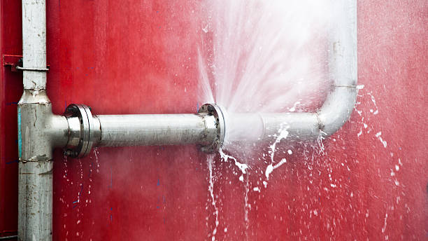 Best Flooded house restoration  in Columbiana, AL